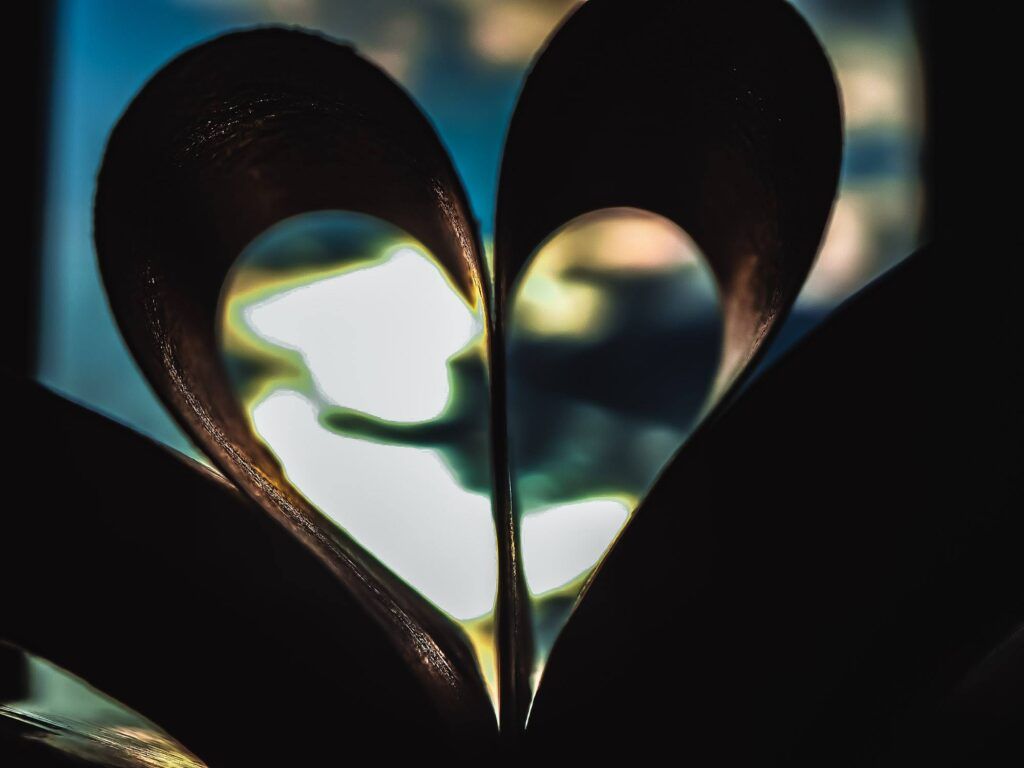 Από τη δράση Indoors Photo Challenge