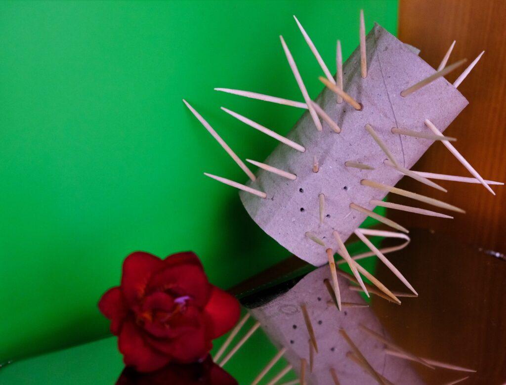 Από τη δράση Indoors Photo Challenge