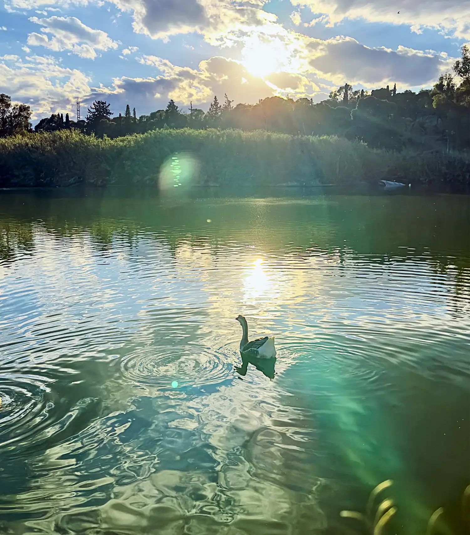 Μαρία Σ._EyesΟfLight_Workshops